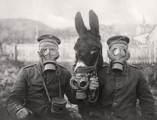 Gas Mask Archives Pocho
